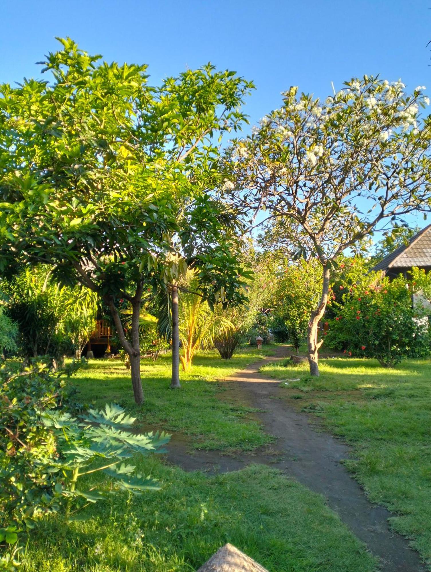 Tangga Bungalows Gili Air Rom bilde